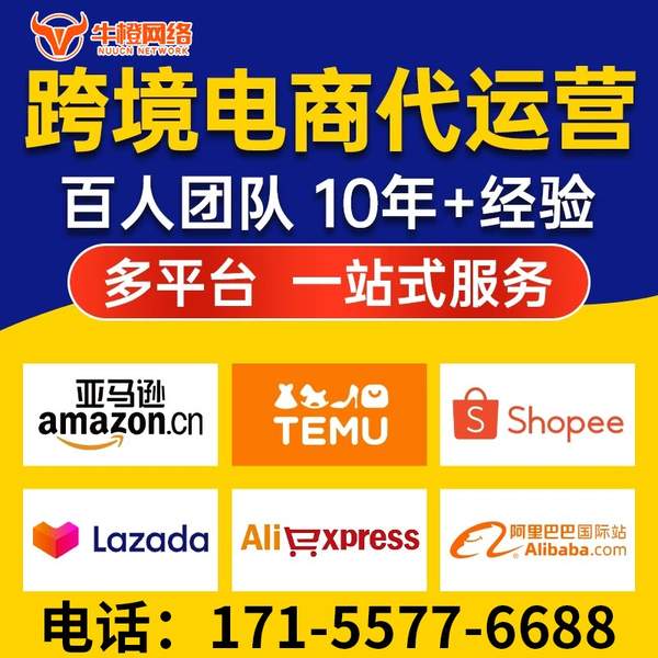 昭通电商代运营