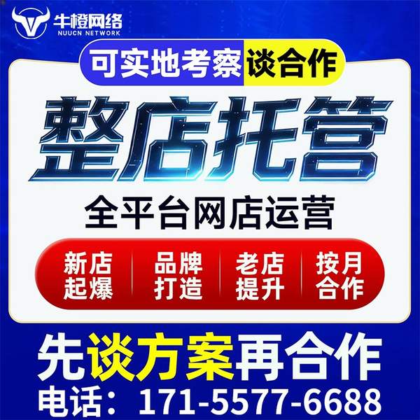 昭通电商代运营