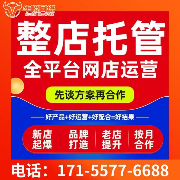 昭通电商代运营