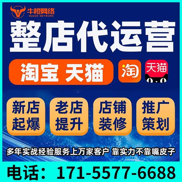 昭通电商代运营