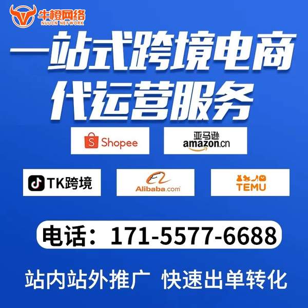 昭通电商代运营