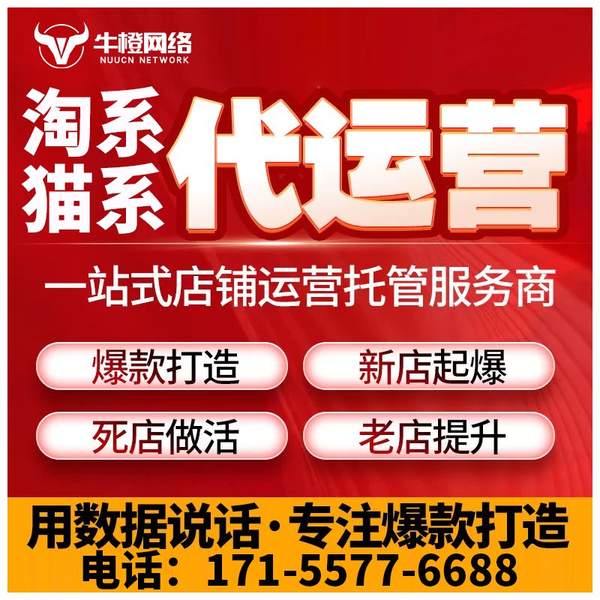 昭通电商代运营